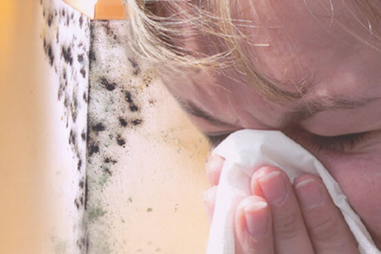 Schimmelpilzbefall Schimmel im Wohnraum Allergie Asthma 
