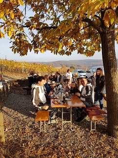 Picknick in den Groß-Umstädter Weinbergen nach den Teamfotos